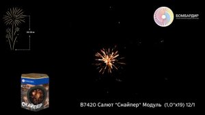 В7420 Салют Снайпер Модуль  (1,0х19) 121