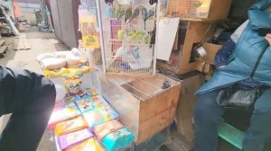 Ep.36 Russian Hidden Gem (Russian Subtitles)