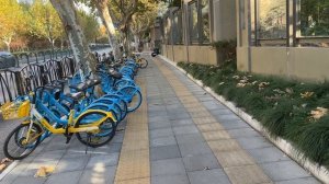 Восторг и удивление от такой простой прогулки Азия Китай интересное