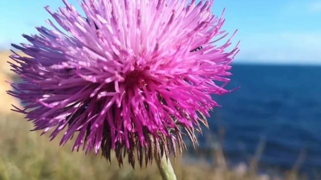 Молитва 6 Его искушения. Молитвы за мужа из книги Сторми Омартиан "Сила молящейся жены"