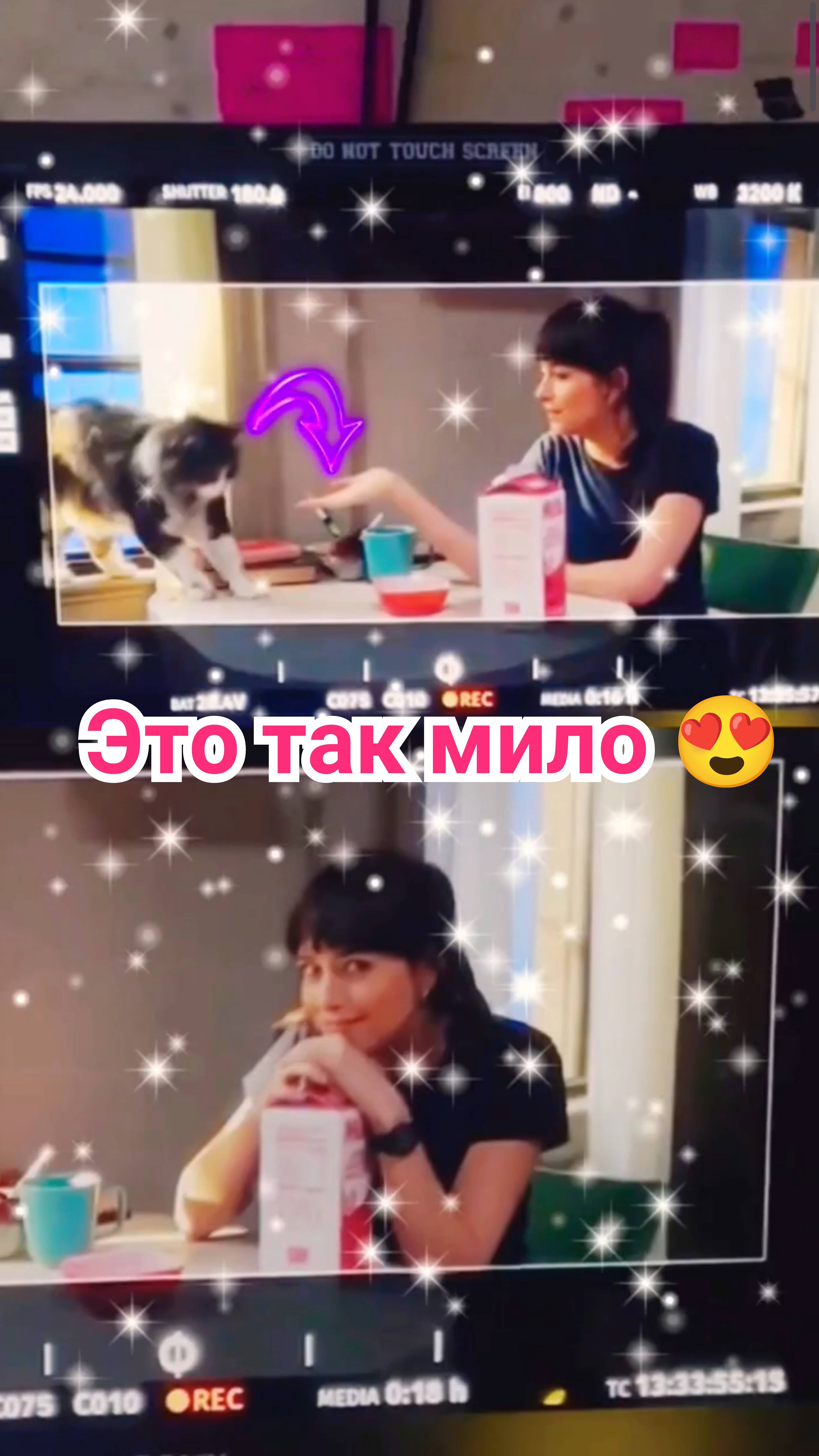 🫶 ДАКОТА ДЖОНСОН НА СЪЁМКАХ ФИЛЬМА "МАДАМ ПАУТИНА" ♥️ 2024