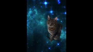 Галактическая кошка