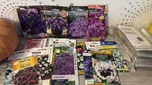 ЦВЕТЫ 2026 для раннего посева, первая подкормка