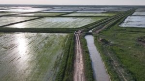 Арграриев Казахстана обязали экономить воду на поливе посевов из-за надвигающейся засухи