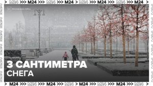 До 3 сантиметров снега может выпасть в Москве - Москва 24