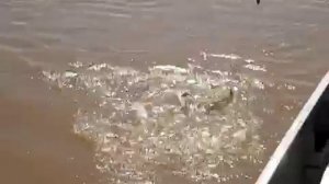 Трое мужиков сидят в лодке и рыбачат...