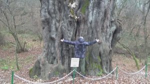 Проводим отпуск в Домике на Дереве, Где остановиться в Адыгее?