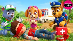 Щенячий патруль и Маршалл. Залипательное видео. Мультфильм для детей и малышей. Анимация