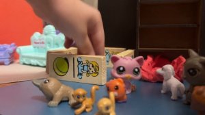 Милые питомцы дома