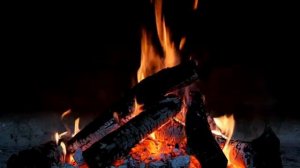 СМЫСЛ придет,когда мы будем готовы его увидеть