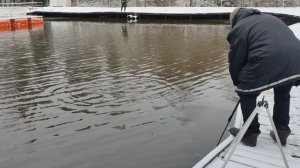 Форель на резину. Вип зона.