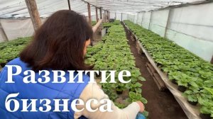 Предприниматели из ЛНР заключают социальные контракты на развитие личного подсобного хозяйства