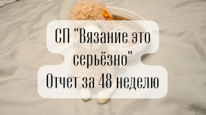 СП "вязание это серьёзно" отчёт за 48 неделю