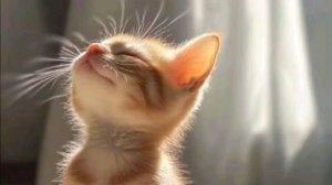 красивые открытки с добрым утром – пожелания добра на каждый день