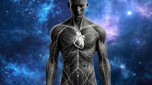 Исцеление Сердца Через Меридиан*Биорезонансные Частоты для Меридиана Сердца