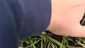 Ахмат. 20.11.25