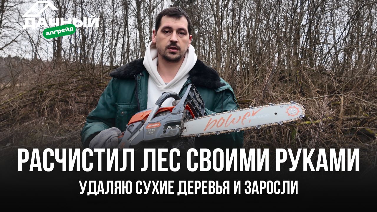 РАСЧИСТИЛ ЛЕС СВОИМИ РУКАМИ: УДАЛЯЮ СУХИЕ ДЕРЕВЬЯ И ЗАРОСЛИ