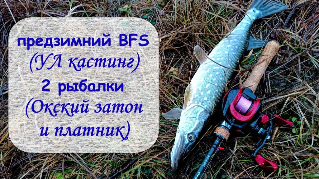 предзимний BFS (УЛ кастинг) 2 рыбалки (Окский затон и платник)