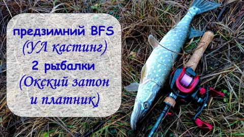 предзимний BFS (УЛ кастинг) 2 рыбалки (Окский затон и платник)