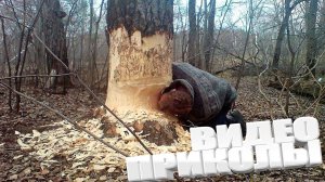 ВИДЕОПРИКОЛЫ \ КРУТЫЕ ПРИКОЛЫ 2025 \ НОВЫЕ ПРИКОЛЫ \ СМЕШНЫЕ ПРИКОЛЫ 2025 ЮМОР