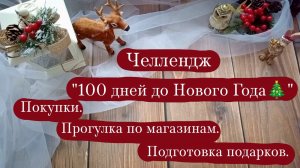 Челлендж "100 дней до Нового Года🎄" | Покупки. | Поход по магазинам. | Начинаю готовить подарки.