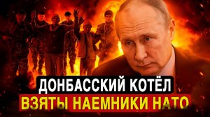 Донбасская ловушка для НАТО! О чём умолчали западные журналисты