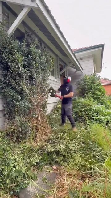 Уборка территории запущенного домовладения @Hal99999999