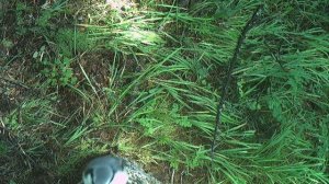 Косолапый оператор