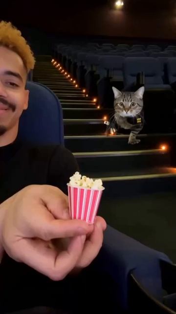 cinema смотреть онлайн