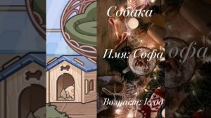 Новые новогодние интро!!? 🌲~❄/ влог рутина семья/ Заменила кошку на собаку!?☃️/Avatar world ❄🌲