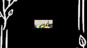 Ш и з а    с     в о р о н о й    (🥰)