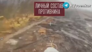 ❗️🇷🇺🔥🇺🇦⚡️«🅾тважные» штурмуют окружённый Мирноград и наступают в Днепропетровской области