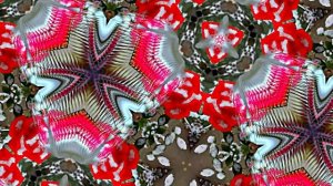 Розы в Зимнюю пору 7 от Киностудии Мудрого Кота Тимофея!