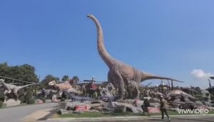 ТАИЛАНД. ПАТТАЙЯ. ТРОПИЧЕСКИЙ ПАРК НОНГ НУЧ