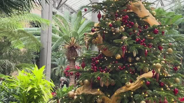 САДЫ США РОЖДЕСТВО в ЛОНГВУД-ГАРДЕНС 2025 г! Самый красивый сад Америки! БЕЗ СОМНЕНИЙ