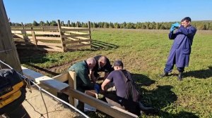 #319 The Vet Visits 24.09.2025