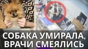 Собака Умирала, Врачи Смеялись _ Скандал в Ветклинике Москвы
