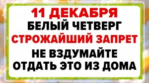 11 декабря — Сойкин день. Что нельзя делать сегодня?