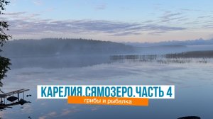 Карелия, часть 4: секреты Сямозера — грибы, рыба, природа