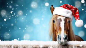 НОВЫЙ ГОД 2026