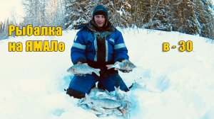Великолепная рыбалка в - 30. Зимняя рыбалка 2020.