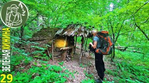 Одна в лесу в Зеленой Хижине