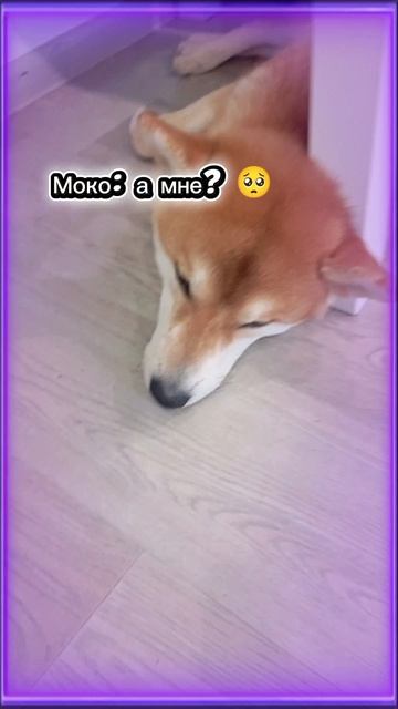 Моя любовь к Моке😘 смотреть онлайн