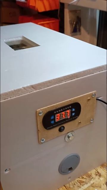 Инкубатор на отправку смотреть онлайн