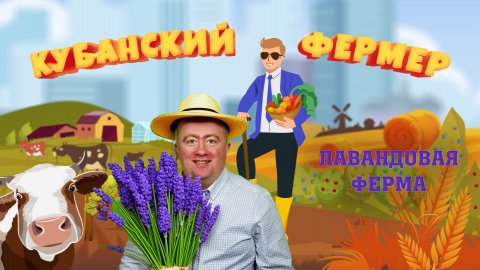 КУБАНСКИЙ ФЕРМЕР_Лавандовая ферма в Новороссийске