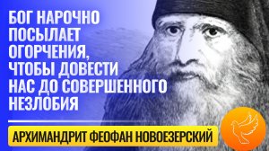 «Бог нарочно посылает огорчения, чтобы довести нас до совершенного незлобия» — Феофан Новоезерский