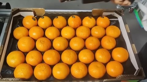 Крутые процессы производства.