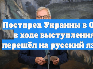Постпред Украины в ООН в ходе выступления перешёл на русский язык