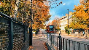 Осенняя прогулка по Лондону 🍁 От Холлоуэя до Хэмпстеда 4К