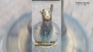 Человек собаке друг 👍💖🙏#собака